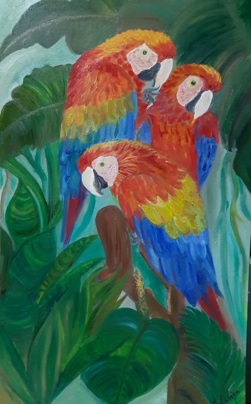 Macaws in harmony