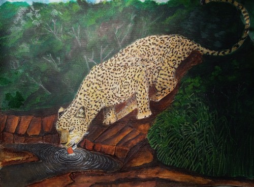 Thirsty Leopard