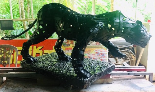 Black Leopard