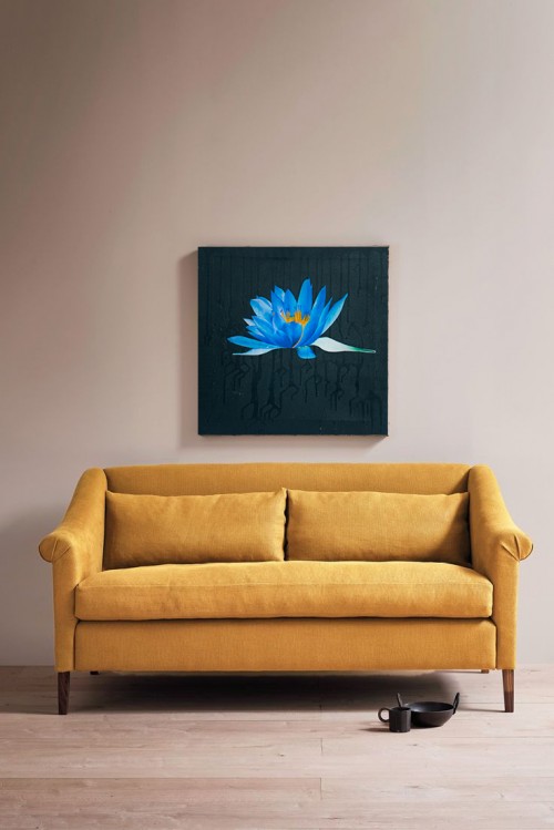 Blue water lily