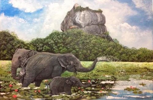 Elephants in Seegiri lake