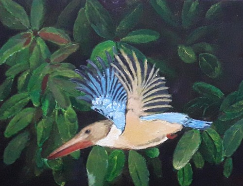 Kingfisher in Action - Sri Lanka