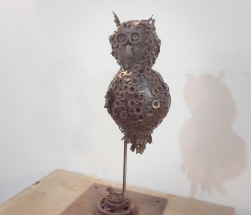 owl