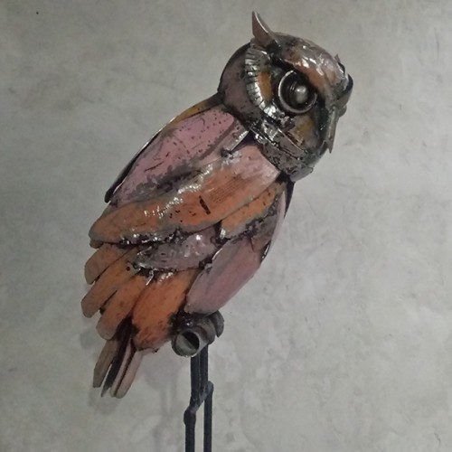 Owl