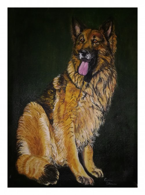 German Shepherd Dog