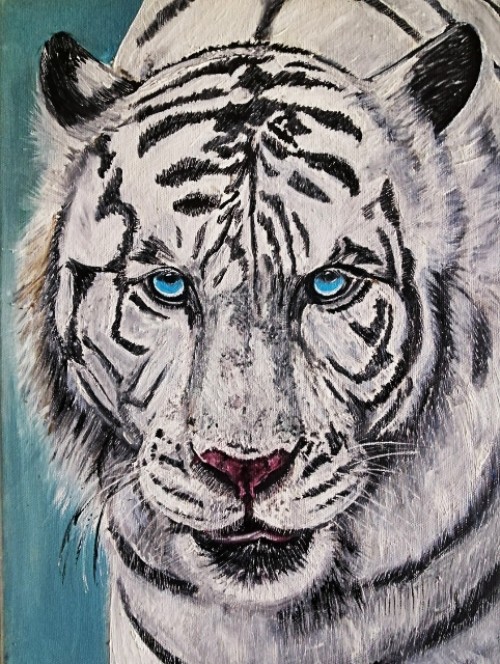 White Tiger