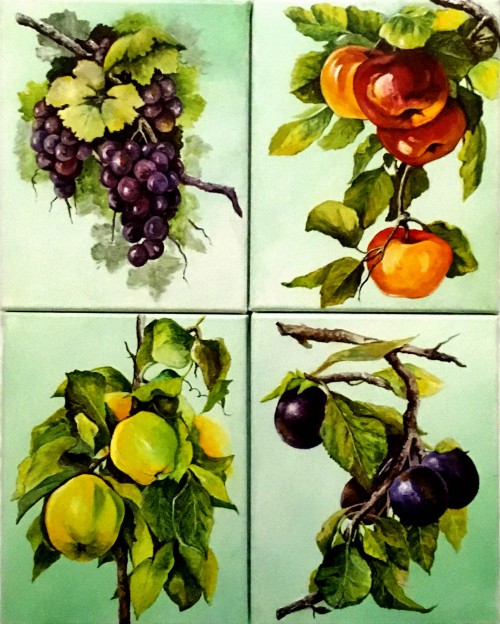 Fruits 11