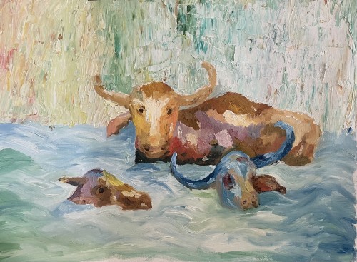 Bathing Buffalo