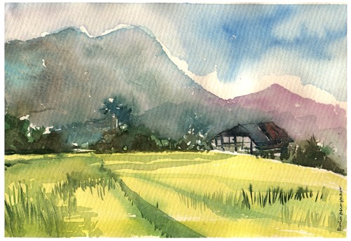 Paddy Field