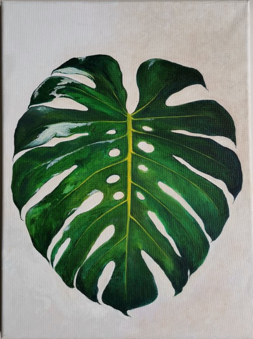 " Monstera"