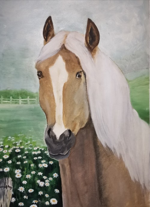 Horse in a Meadow of Daisies
