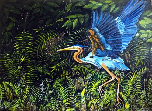 Purple Heron