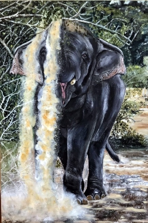 The Elephant