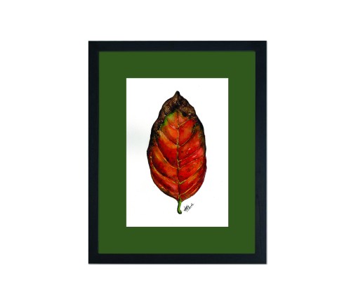 Red Jack Leaf