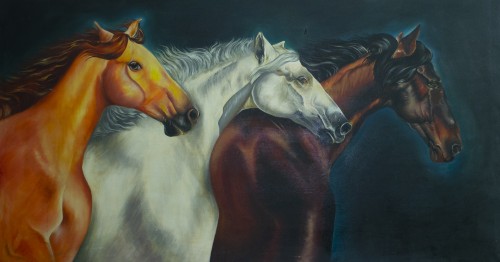 Three wild horses
