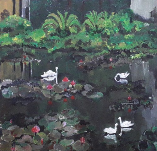 Swans Enjoying the Muddy Lotus W