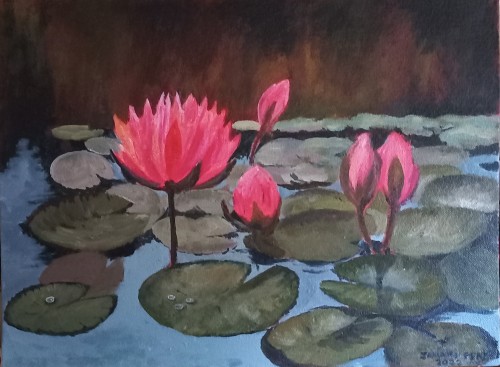 Water lilies