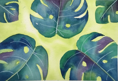 Monstera leaves