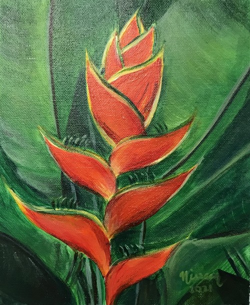 Heliconia