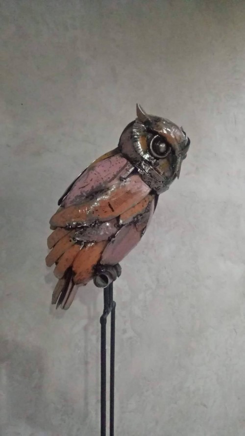 Owl