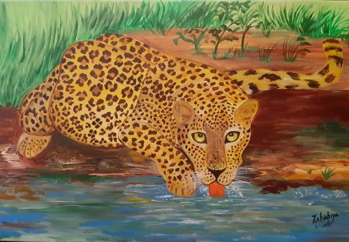 Srilankan leopard