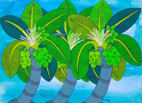 Coconut Tree