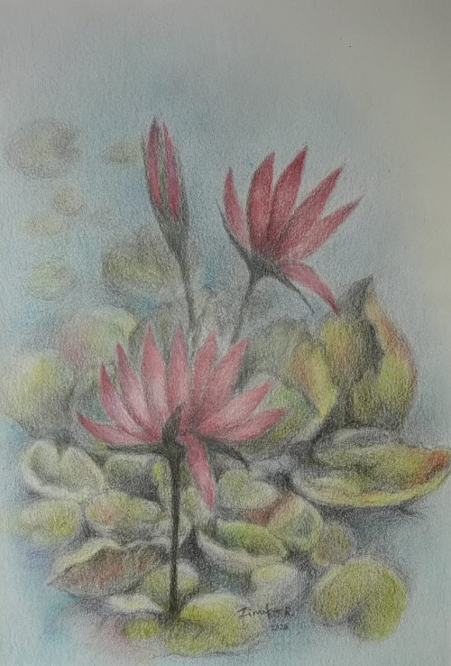 LOTUS