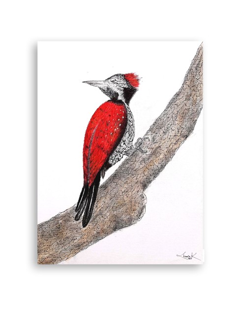 THE SRI LANKAN WOODPECKER - 1