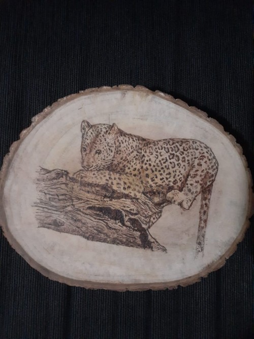 Leopard on a tree-trunk