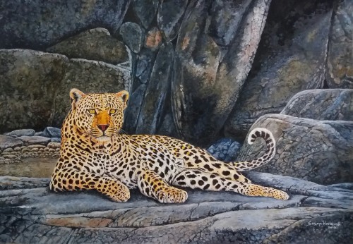 Leopard in relax