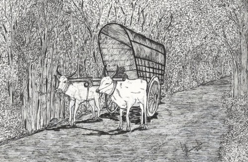 Bullock Cart in Ceylon