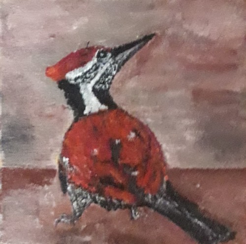 Sri Lankan Woodpecker