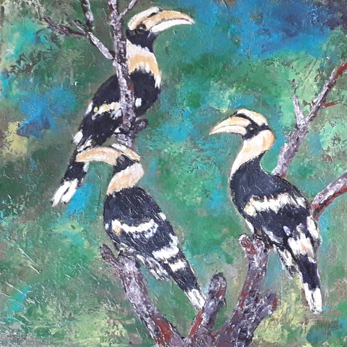 Hornbill Birds
