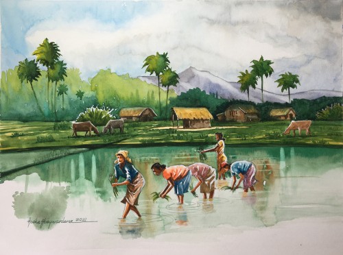Farmers in a paddy Field