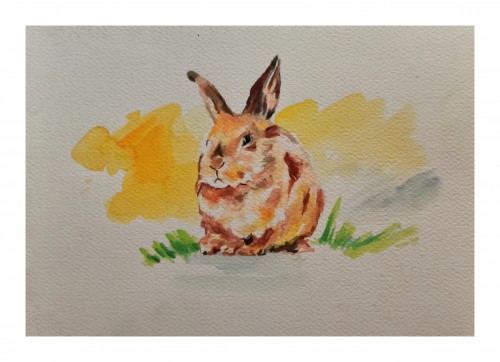 Rabbit