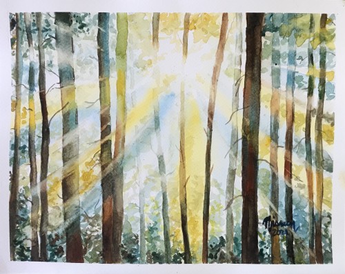 Sunlit trees