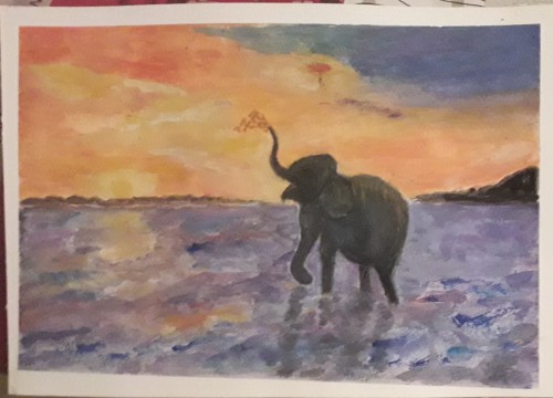 Sri Lankan Elephant