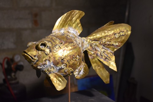Gold  fish