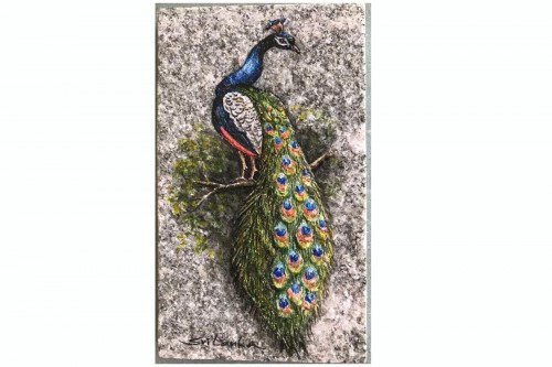 Peacock (Wildlife- Sri Lanka)