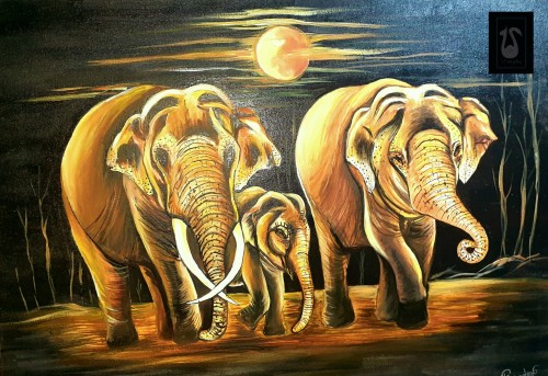 Three elephants