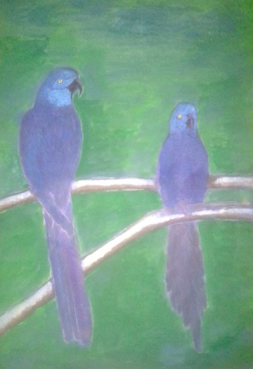 Blue Pair