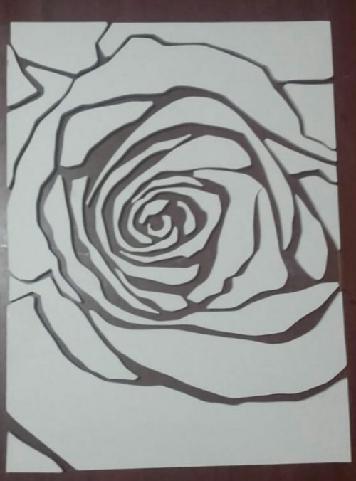 white rose