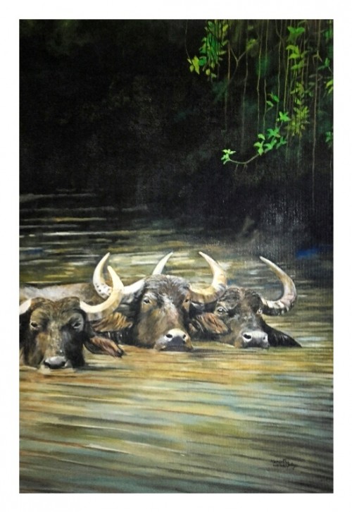 Buffaloes by the river