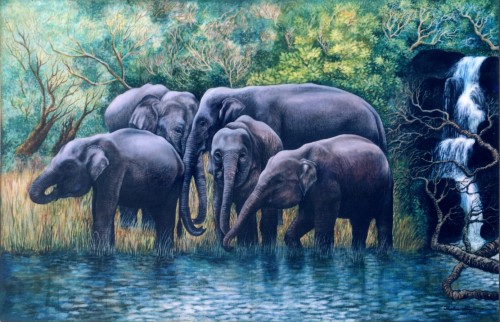 Freedom of Wild Elephants- 02