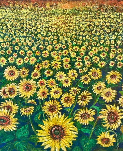 Sunflower Field