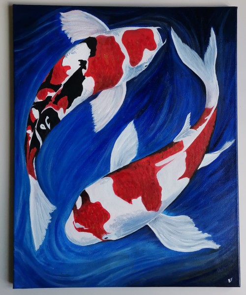 "Koi fish in shallow water"