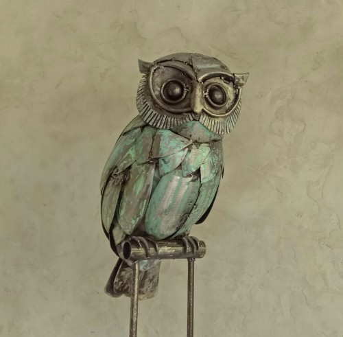 Owl