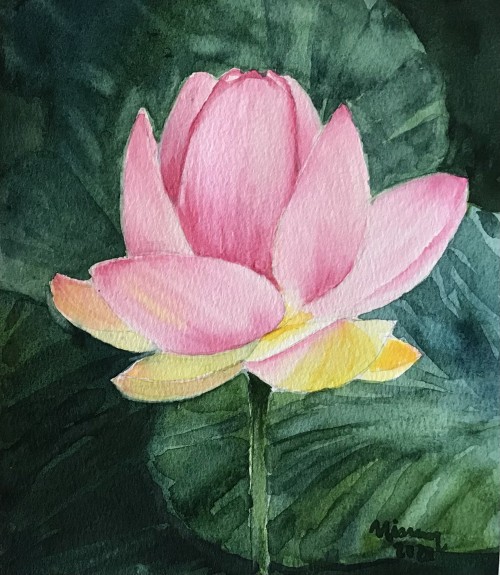 Lotus