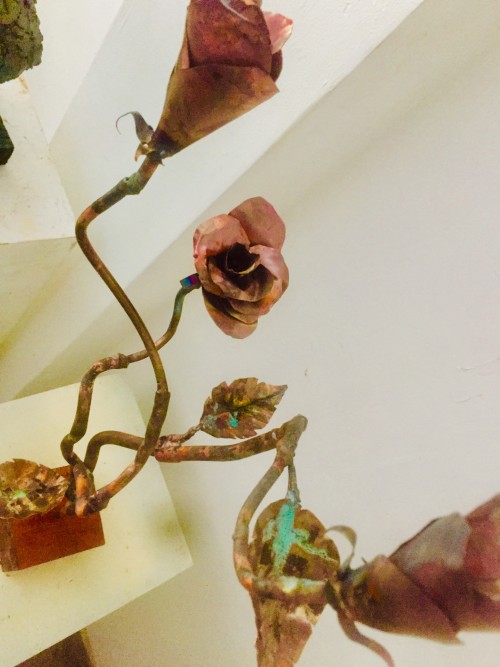 Copper rose