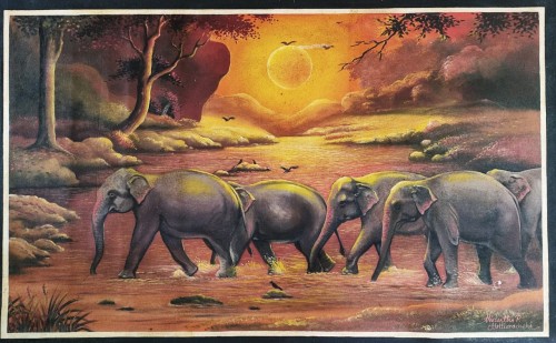 Elephant Gang